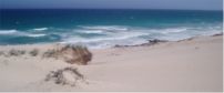 Swellendam De Hoop Beach